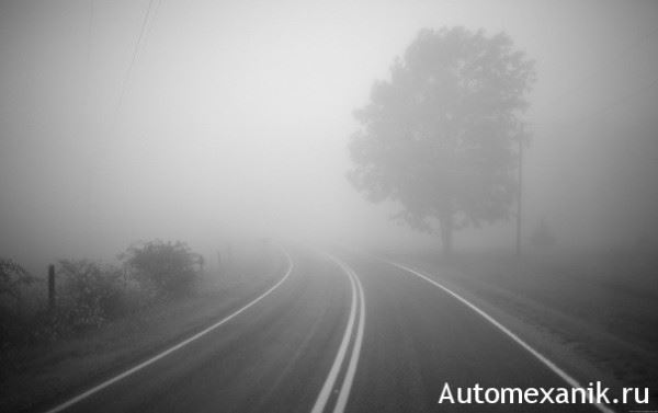 Советы бывалых: 6 правил вождения в тумане.